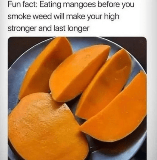 A meme about eating mangoes before smoking weed