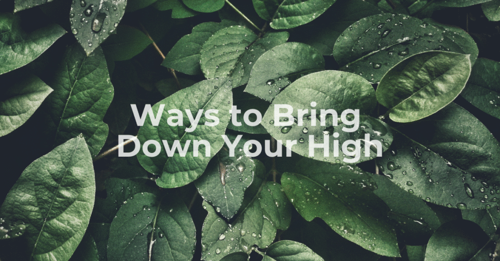 What to Do if You’re Too High?