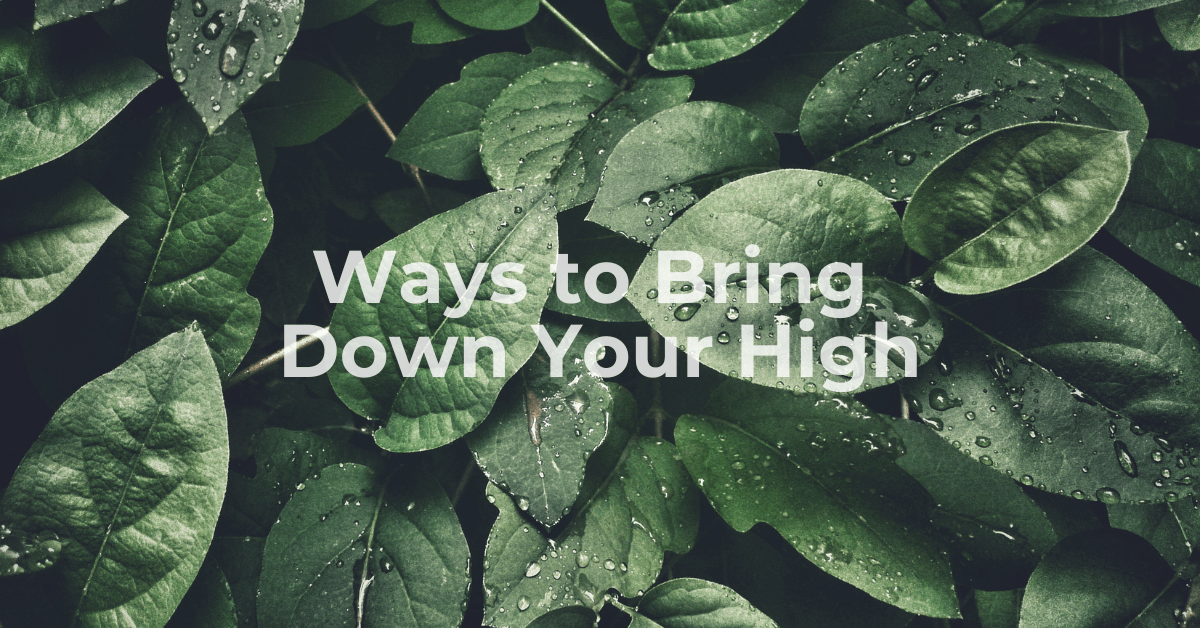 What to Do if You’re Too High?