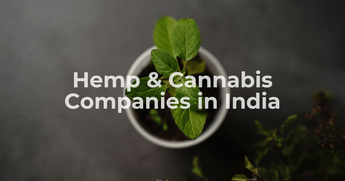 Hemp and Cannabis Companies in India